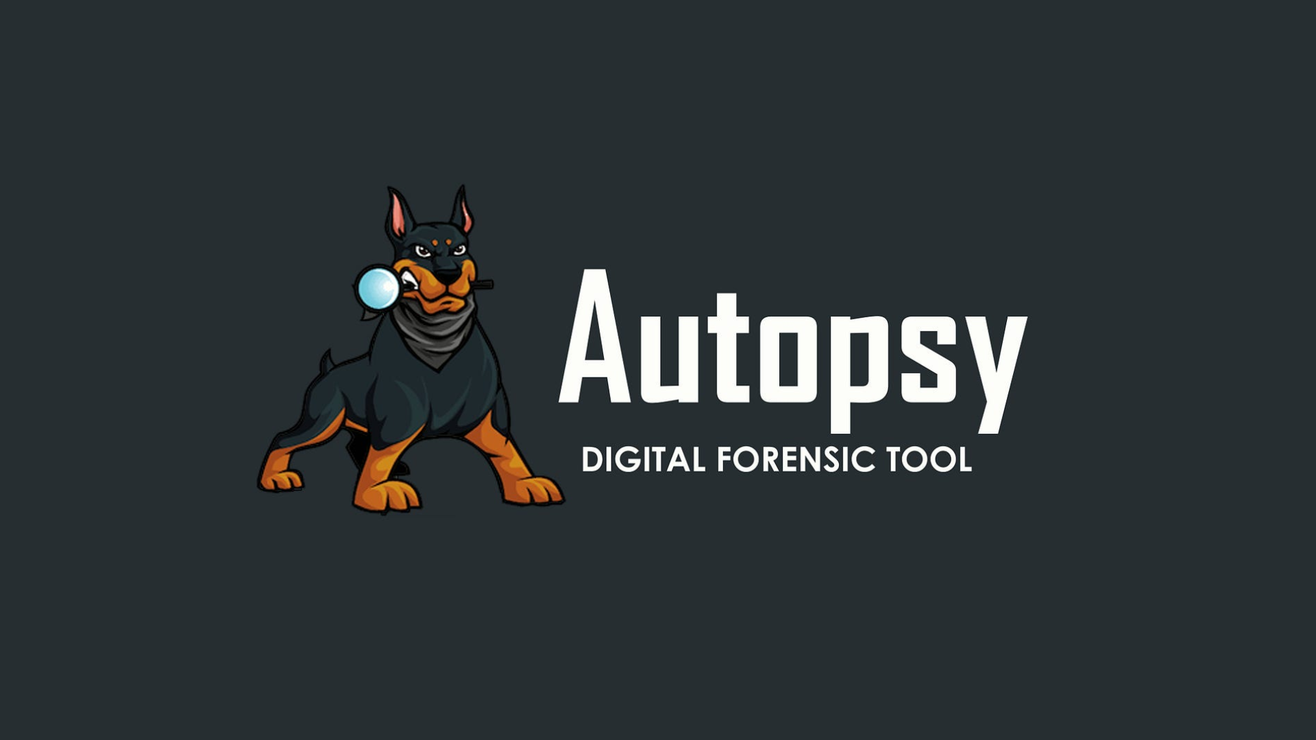 Autopsy: A Powerful Tool for Digital Forensics and File Recovery