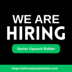 Senior Upwork Bidder