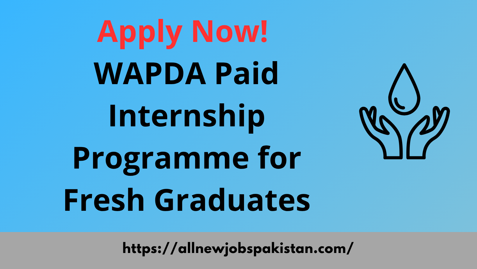 WAPDA Paid Internship Programme for Fresh Graduates | Apply Now