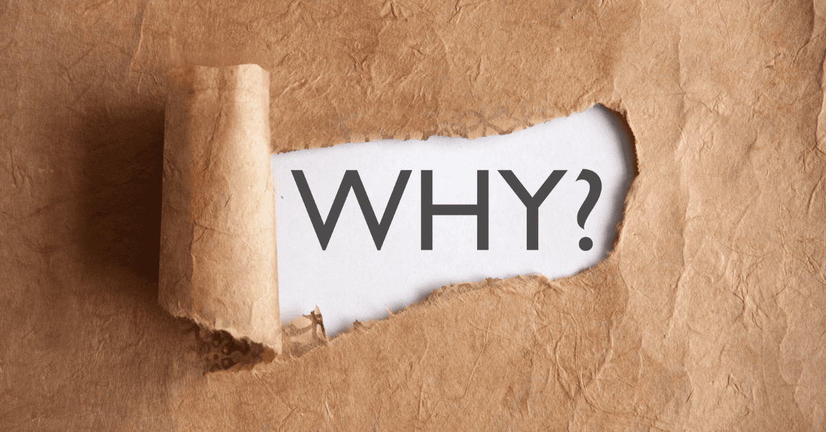 Why Is SEO Important?