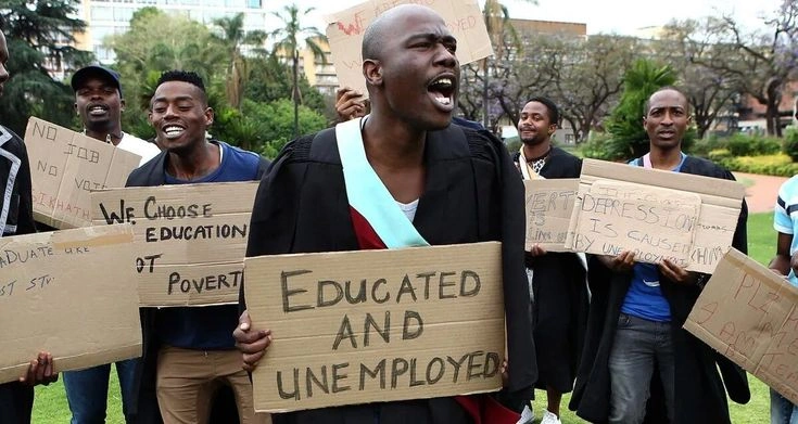 Graduate Unemployment Crisis: Why 31% of Youth Can't Find Jobs